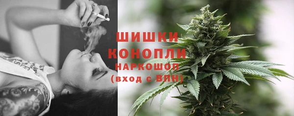 индика Карталы