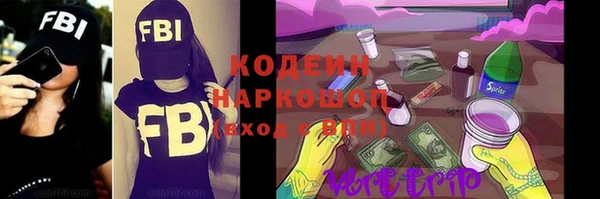 индика Карталы