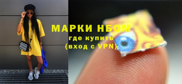 индика Карталы